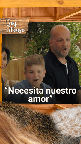 “Este perrito necesita el amor de nuestra familia y estamos dispuestos a dárselo” 