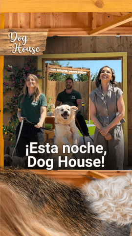 “Adoptar es responsabilidad”