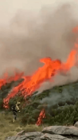  El fuego devora el monte y amenaza los hogares de familias.