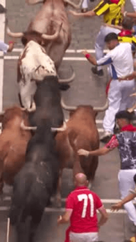 Momentos de mucha tensión en el #Encierro4RTVE