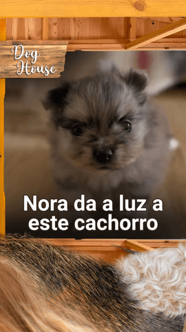 ¡Sorpresa!