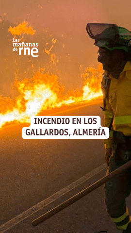 Un incendio forestal originado este jueves en Los Gallardos, en la provincia de Almería, ha provocado la muerte de al menos 11 personas, según ha indicado el presidente de la Junta de Andalucía, Juanma Moreno, en lasmananasrne en un balance provisional, ya que 19 personas siguen sin localizar