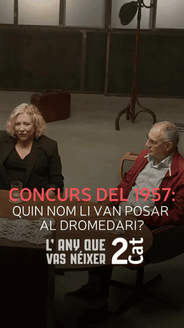  L'actriu Merc� Ar�nega i el m�sic Quimi Portet han d'encertar quin nom li van posar al dromedari nascut a Barcelona l'any 1957!