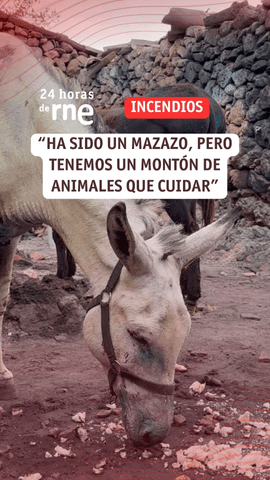 Algunos de los daños provocados por el incendio de Casavieja (Ávila) son irreparables.
