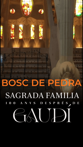  @cristinavillanuevaoficial puja des de la cripta fins a les naus de la @sagradafamilia per entendre la gran revoluci� de Gaud�: un bosc de columnes que sost� tones de pedra sense necessitat de contraforts.