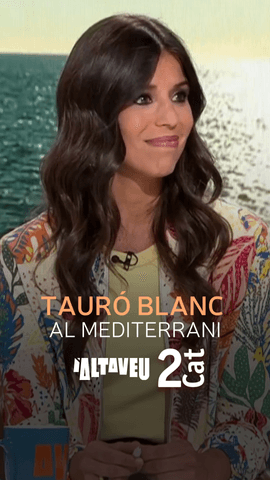 Les imatges d'un tauró blanc al Mediterrani, prop de l'illa italiana de Sicília, ens deixen aquest hilarant moment a l'#AltaveuRTVE.