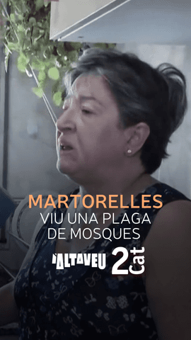  Els ve�ns i ve�nes de Martorelles denuncien que pateixen una plaga de mosques, la segona a Catalunya en pocs dies!