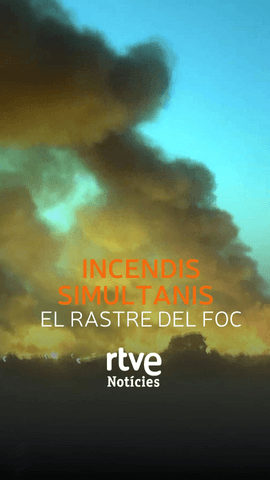  La jornada cr�tica d'aquest dimecres amb 6 focs simultanis, ja estabilitzats, deixa un rastre de cendra.
