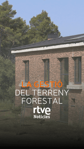  Més del 60% del territori català és terreny forestal, però la gestió és insuficient.