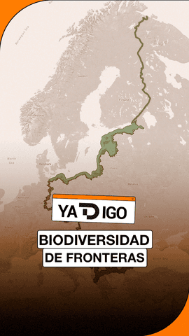 #YaTDigo La naturaleza se expande si no hay humanos, lo imaginan decenas de pel�culas apocal�pticas, lo vemos en las selvas que se comieron el territorio de antiguas civilizaciones pero tambi�n es f�cil comprobarlo en las fronteras desmilitarizadas que dejan las guerras inacabadas.