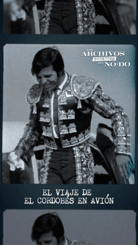  ¿Es un pájaro?