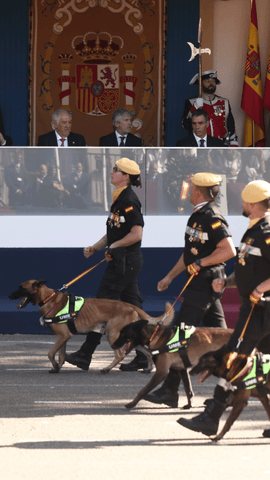 El desfile terrestre sigue a pie, 124 pasos por minuto.
