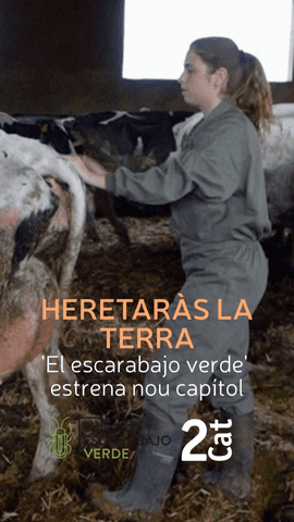  Quedar-se per heretar la terra.