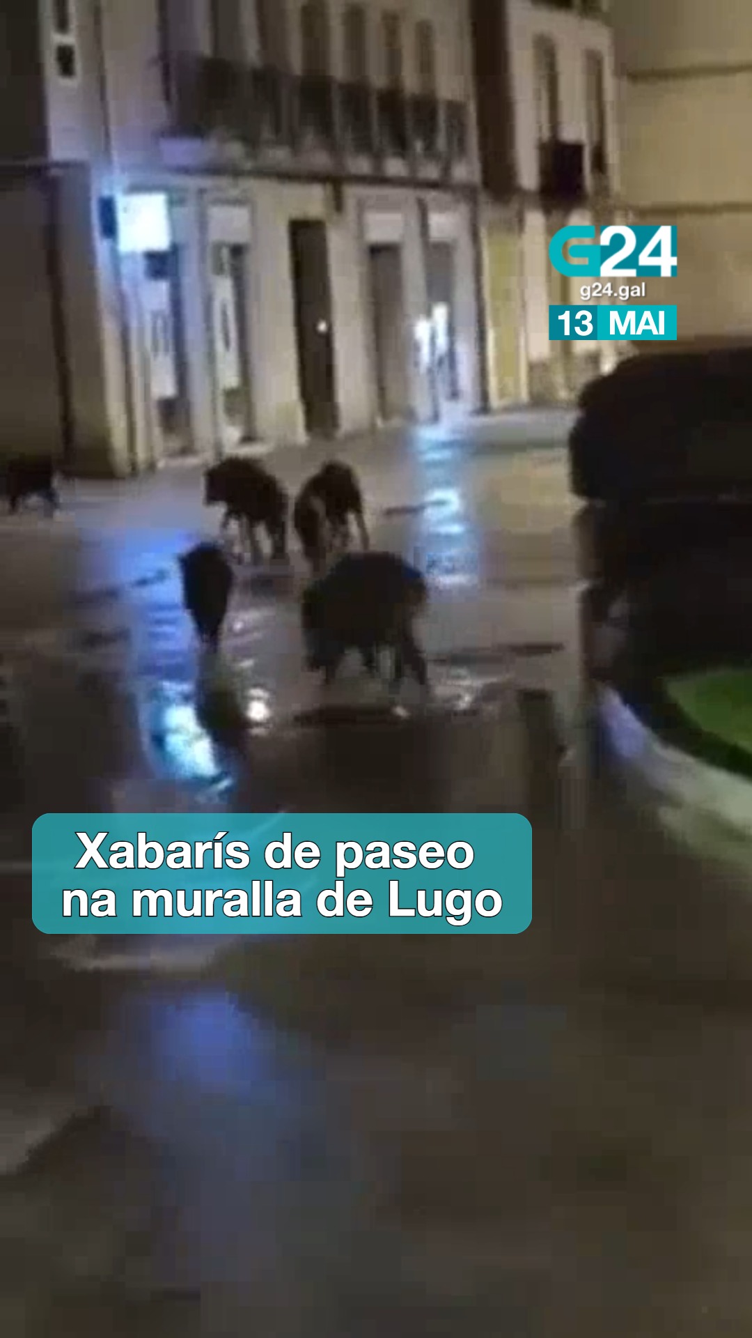 🐗 LUGO
