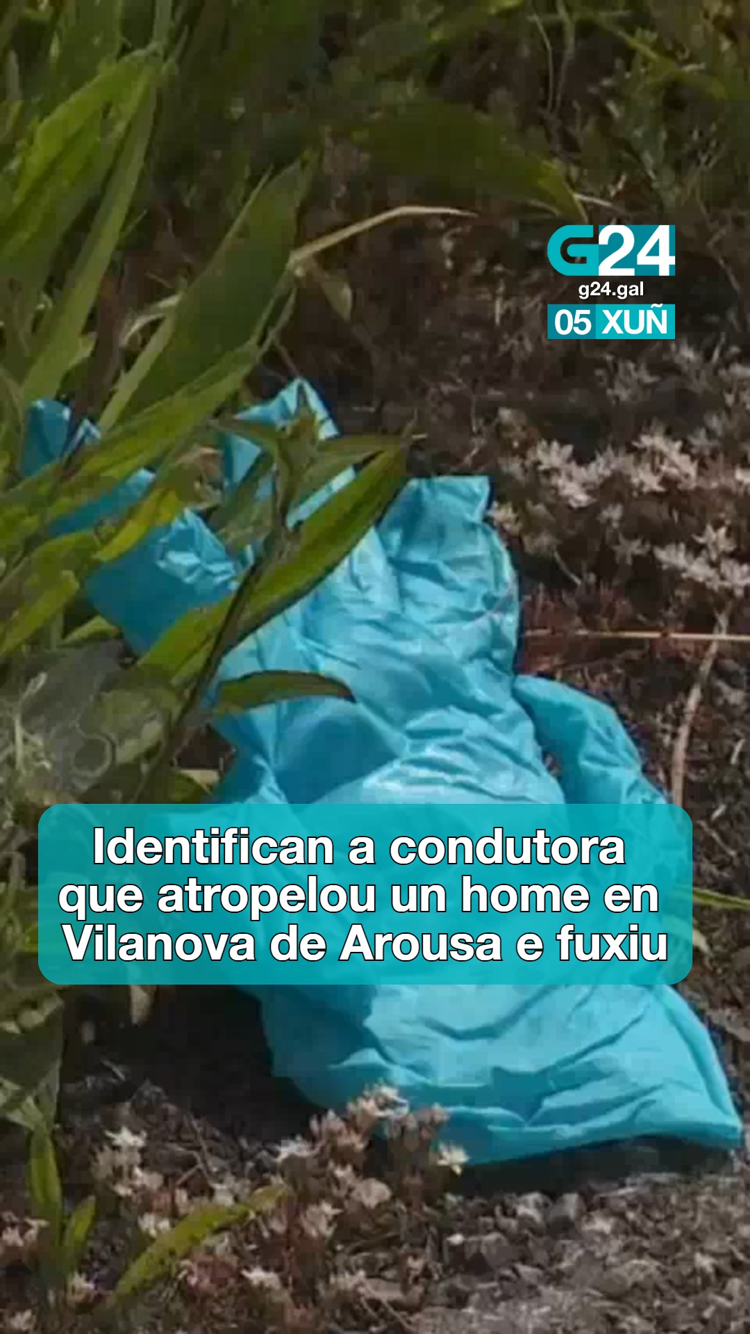 🚔 VILANOVA DE AROUSA